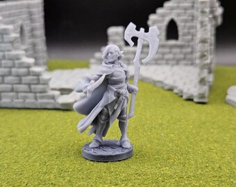Elf Female Paladin Resin Tabletop Gaming Miniature.
