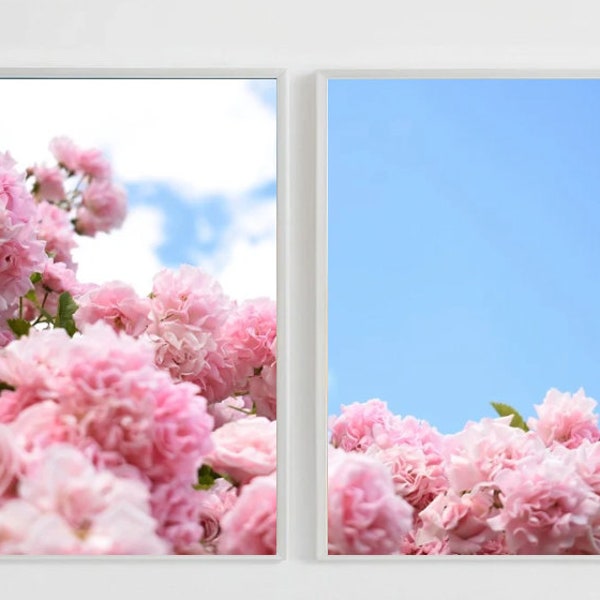 pink roses art photography nature blue sky clouds mural art poster flower decor high quality set of two printable art