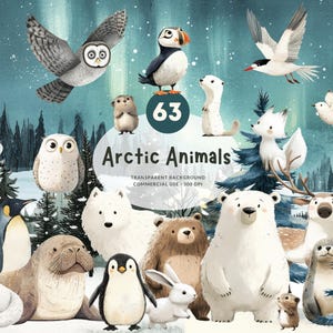 63 pooldieren, aquarel clipart png, ijsbeer, vos, uil, wolf, zeehond, pinguïn en meer, bijpassende winterachtergronden, commercieel gebruik