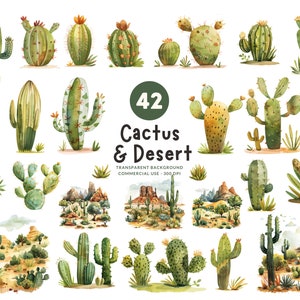 42 Cactus Clipart & Desert Clipart - Conjunto PNG de aquarela, uso comercial, download digital