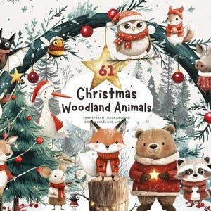 61 animales del bosque navideño, imágenes prediseñadas de acuarela PNG, osos, zorros, búhos, conejos, lobos y más, fondos a juego, uso comercial