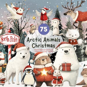 75 Weihnachten arktische Tiere, PNG Aquarell Clipart, Eisbär, Fuchs, Eule, Robbe, Wolf und mehr, passende Winter Hintergründe, kommerzielle Nutzung