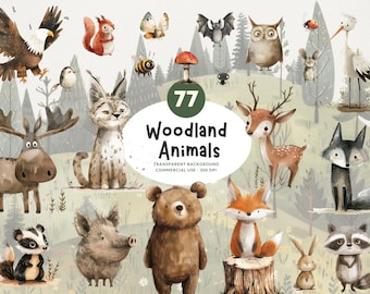 77 Woodland Animals, PNG Watercolor Clipart, Whimsical Boho Baby Animals, Bear, Fox, Owl, Wolf & More, Matching Backgrounds, Commercial Use