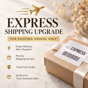 May include: A brown cardboard box with a white shipping label featuring the text EXPRESS and a barcode. The image includes a gold airplane icon and text stating EXPRESS SHIPPING UPGRADE FOR EXISTING ORDERS ONLY, plus four icons.