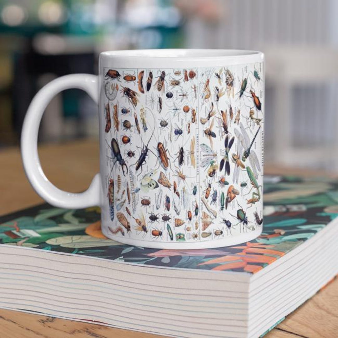 Vintage Insect Mug Retro Entomology Coffee Cup, Scientific Illustration ...