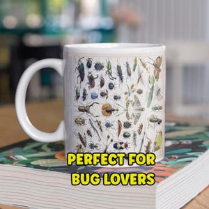Vintage Beetle Illustration Mug – Entomology Coffee Cup, Insect Lover Gift