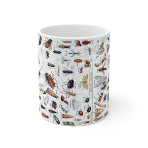 Puede incluir: Una taza de cerámica blanca con una ilustración científica detallada de varios insectos. El diseño incluye numerosos dibujos coloridos de escarabajos, moscas y otros bichos, con el texto "INSECTES NUISIBLES" impreso verticalmente.