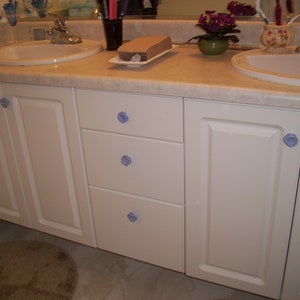 May include: White bathroom vanity with two sinks and three drawers. The drawers have blue rose-shaped knobs. The vanity has a white countertop and a tiled backsplash.