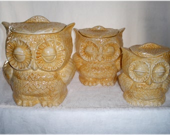 Owl Canister Or Planter  Set of 3  Kitchen Storage Home Decor Available in Any Color