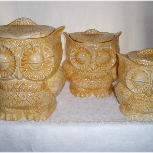 Owl Canister Or Planter  Set of 3  Kitchen Storage Home Decor Available in Any Color