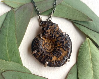 Prong-Set Fossilized Ammonite Pendant Necklace