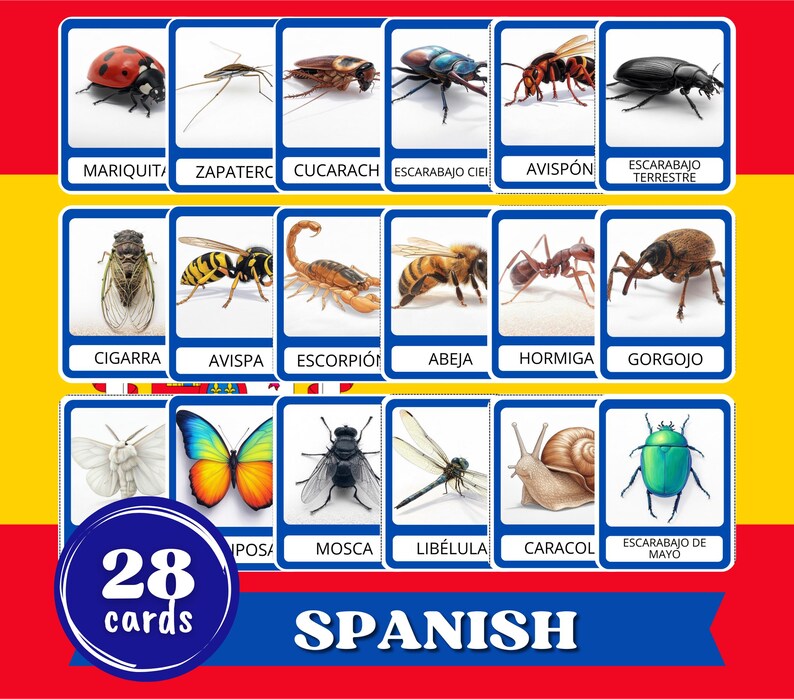 Spanish Flash Cards for Kids. Insects Flashcards. Printable Montessori ...