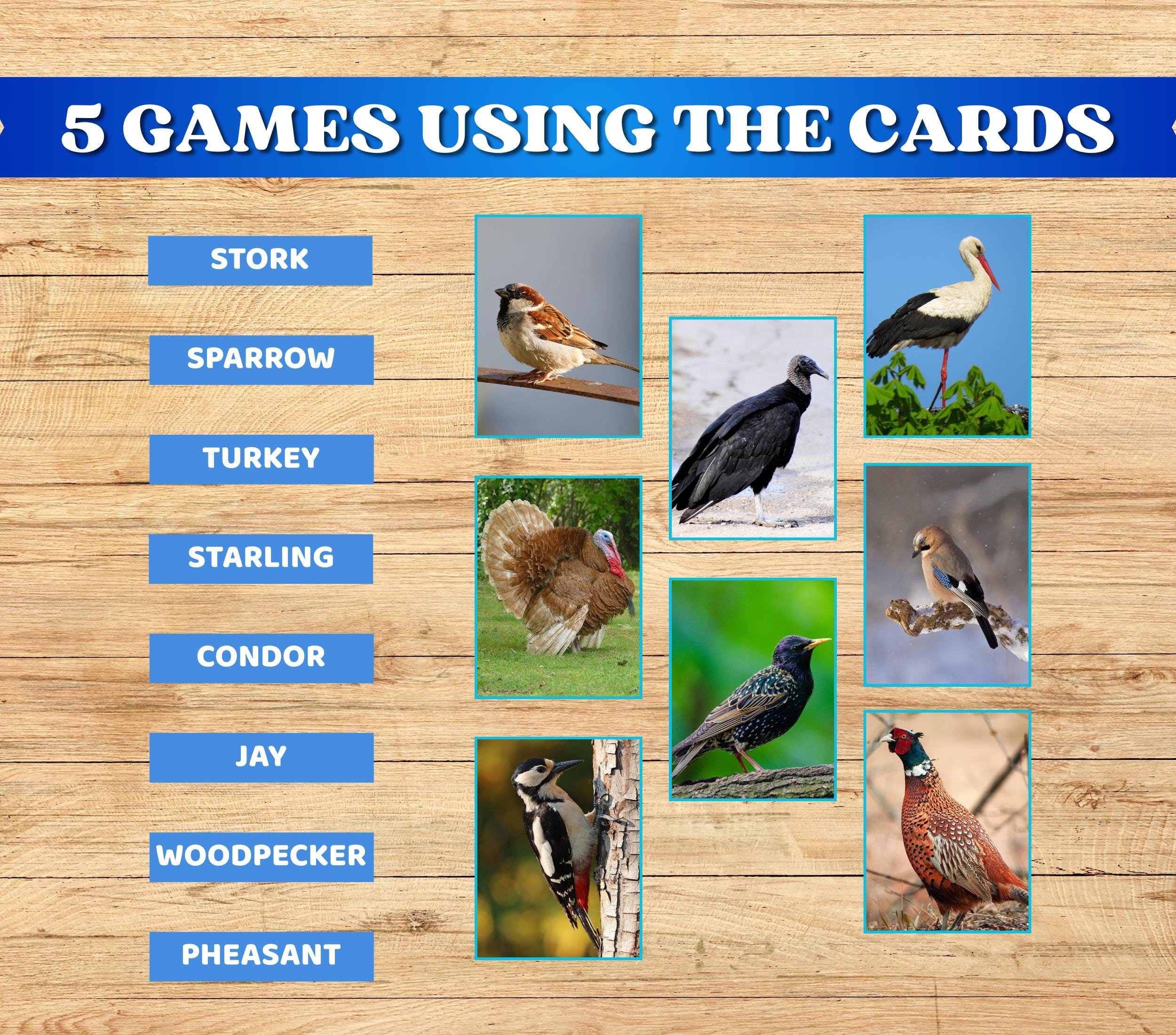 Montessori Bird Flash Cards for Kids. Printable Learning Activity for ...