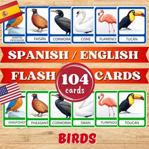 Karteikarten Spanisch & Englisch. Vögel Montessori Karten. Druckbare Karten Spanisch lernen. Digitaler Download PDF