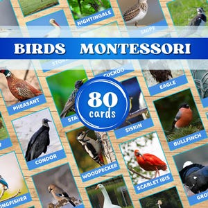 Montessori Vogel Karteikarten zum Ausdrucken. Naturlernspiele. Kleinkind & Vorschule Lernkarten. Digitaler Download PDF