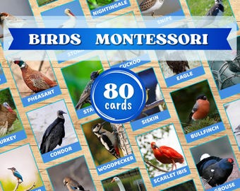 Montessori-vogelflitskaarten voor kinderen. Afdrukbare leeractiviteit voor de ontwikkeling van jonge kinderen