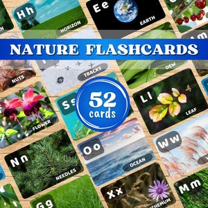 Cartões de memória Montessori com o alfabeto da natureza. Alfabeto em inglês para imprimir. Montessori para crianças pequenas. Cartões de memória Montessori para imprimir. Jogos educativos