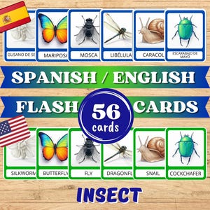 Spanisch Lernkarten für Kinder. Insekten Kartei. Druckbare Montessori Karten. Spanisch lernen. Wortkarten für Kleinkind. Digitaler Download PDF