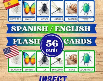 Insects Montessori cards Spanish and English. Printable bilingual materials . Digital download PDF
