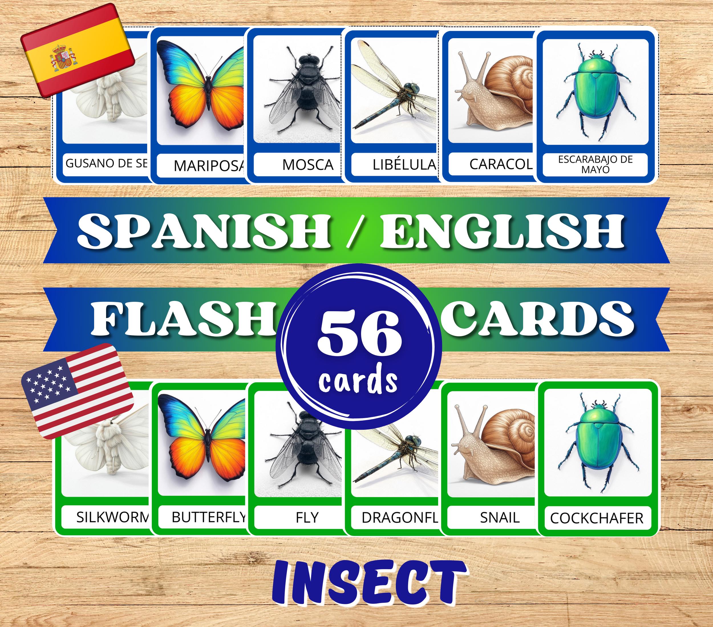 Spanish Flash Cards for Kids. Insects Flashcards. Printable Montessori ...