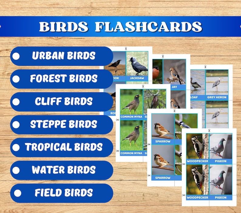 Montessori Bird Flash Cards for Kids. Printable Learning Activity for ...