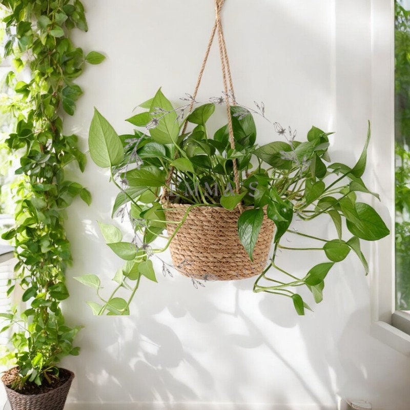 20 Makramee-Pflanzenaufhänger Aus Jute – Dekorative Hängekörbe Für Drinnen & Draußen (je 122 Cm)