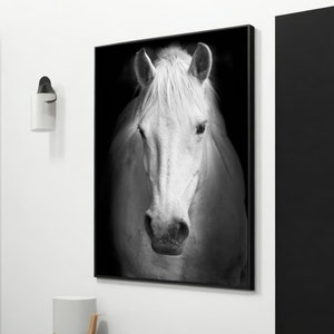 A Light in the Shadow: White Horse Canvas Art - Elegant Animal Painting for Home Wall Decor, Perfect Gift for Equestrians