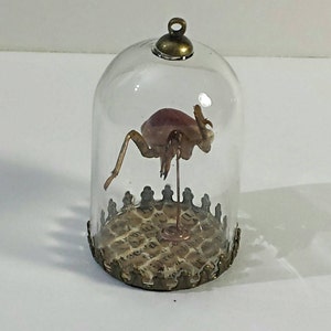 Mini Monster Number Fourteen