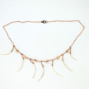 Rattlesnake Rib and Vertebrae Necklace