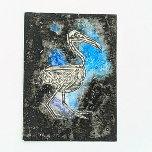 Esqueleto de gaviota en el espacio Técnica mixta original ACEO