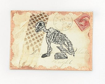 Original Rabbit Skeleton over Collage with  Real Snake Skin  ACEO