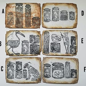 Gabinetes originales ACEO Relief Printed Curio