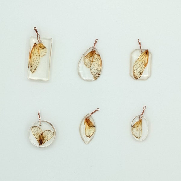 Real Cicada Wing in  Clear Resin Pendant-- Choose Your Shape