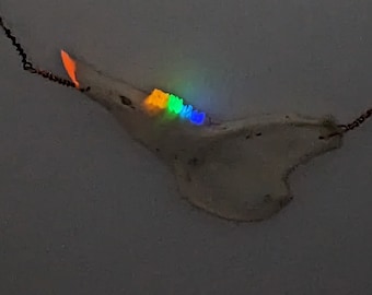 Rainbow Glow in the Dark Teeth Rabbit Jaw Necklace