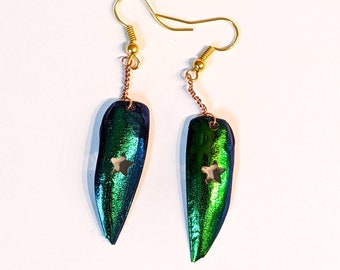 Star Cutout Jewel Beetle Earrings