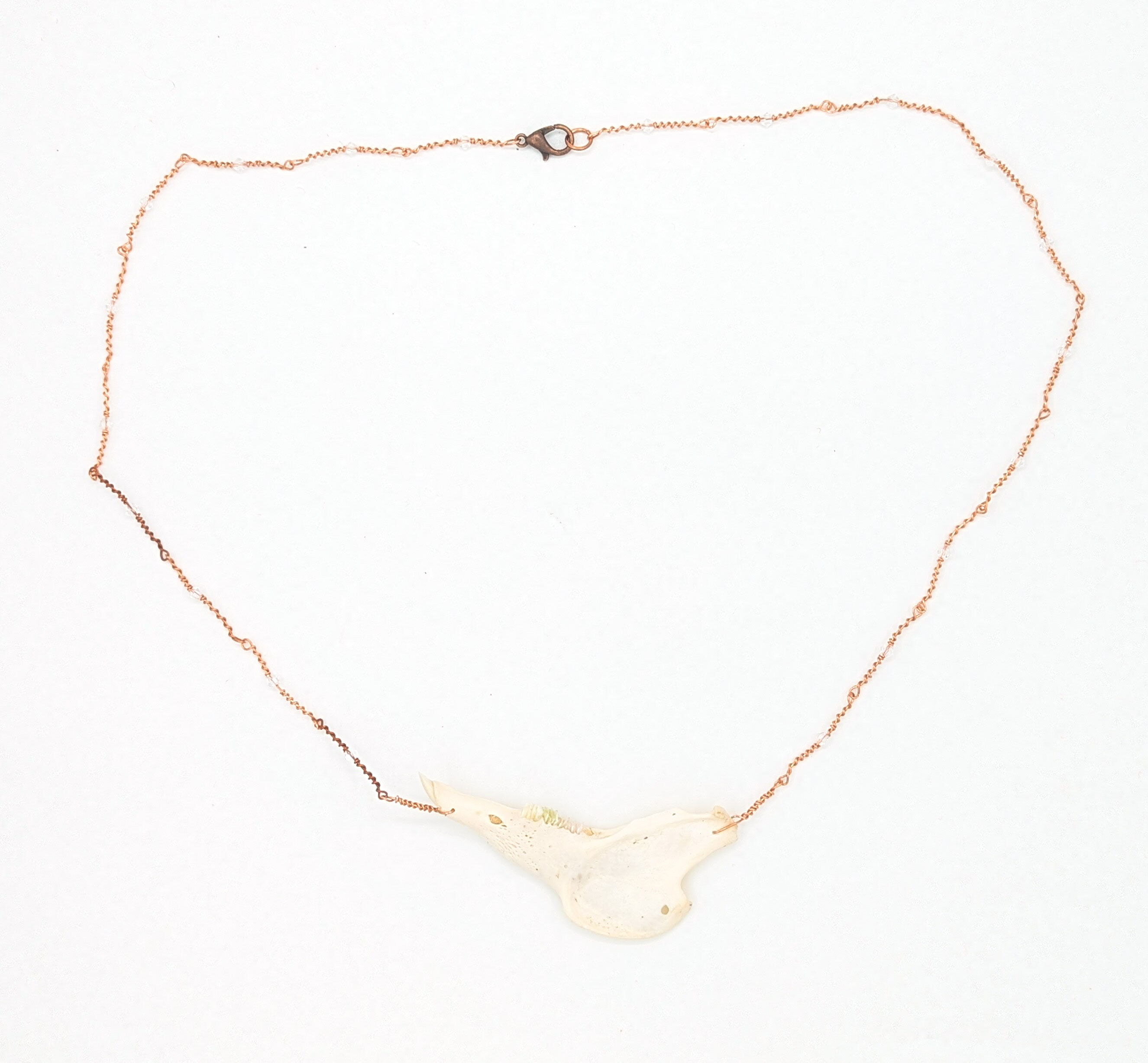 Rainbow Glow in the Dark Teeth Rabbit Jaw Necklace