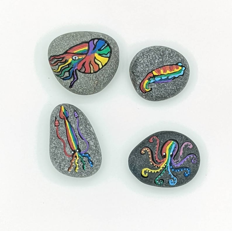 Cephalopride Rainbow Cephalopod Rock set image 1