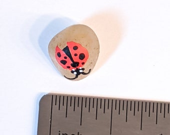 Ladybug Rock