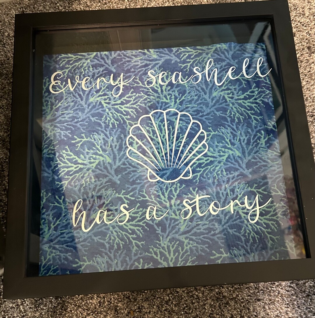 Soft Shell Display Case Shell Collectors Display Case - Etsy