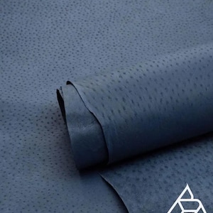 May include: A close-up of a dark blue ostrich leather hide. The leather has a textured surface with small bumps.