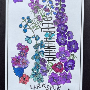Delphinium originele pen- en inkttekening/collage in paars
