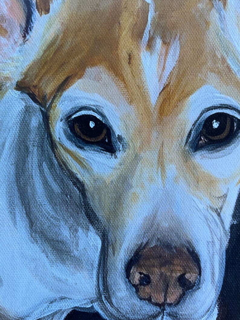 May include: Close-up of a dog's face, painted in a realistic style. The dog has brown and white fur, with brown eyes and a brown nose. The painting is done on a canvas.