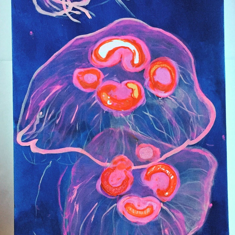 May include: A watercolor painting of two jellyfish with pink and red accents on a dark blue background.