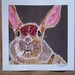 macbear1 reviewed Funny Bunny Limited Edition Print From Original Painting Collage