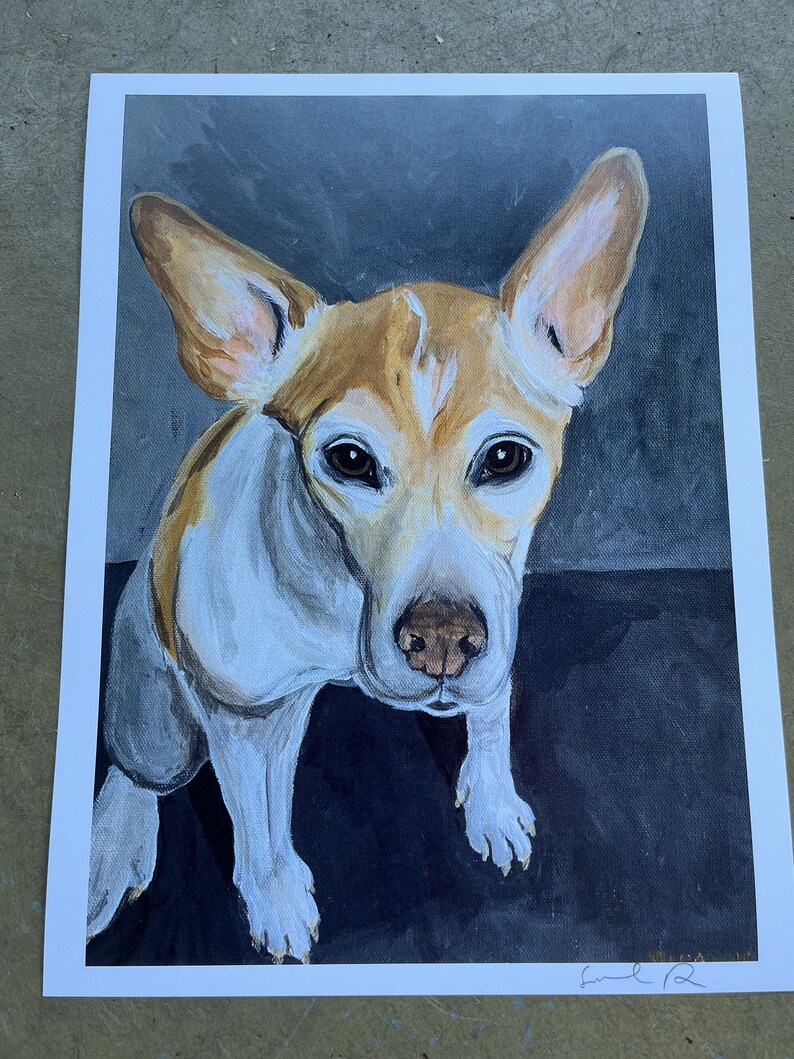 May include: A painting of a dog with white and brown fur. The dog is looking directly at the viewer with a curious expression. The background is a dark blue color.