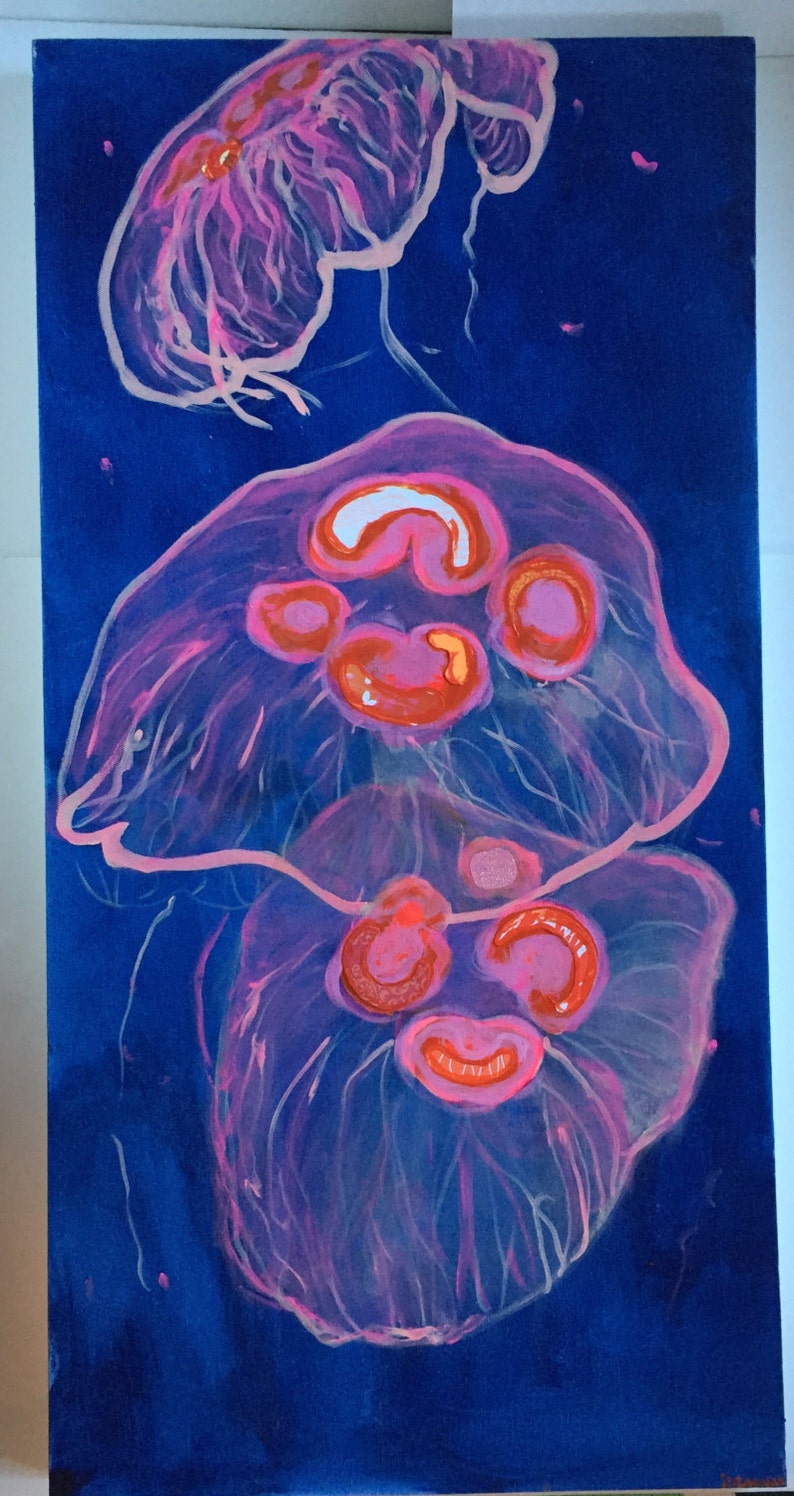 May include: Three jellyfish painted on a blue canvas. The jellyfish are translucent and have pink and red accents. The top jellyfish is the largest and has a bell-shaped body. The middle jellyfish is smaller and has a more rounded body. The bottom jellyfish is the smallest and has a more elongated body.