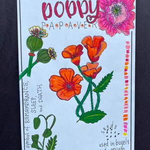 Poppy originele pen en inkttekening/collage