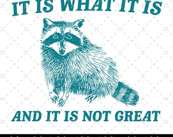 It Is What It Is And It Is Not Great Vintage Drawing Digital File, Funny Raccoon Meme PNG, Funny Trash Panda Merch, Funny Trash Panda Png