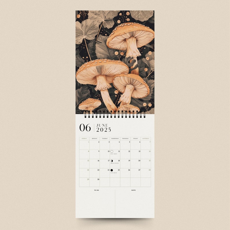 2025 Calendar Cottage Core Calendar 2025 Monthly Planner Etsy
