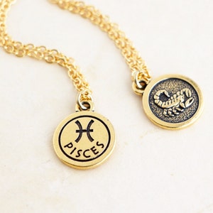 capricorn